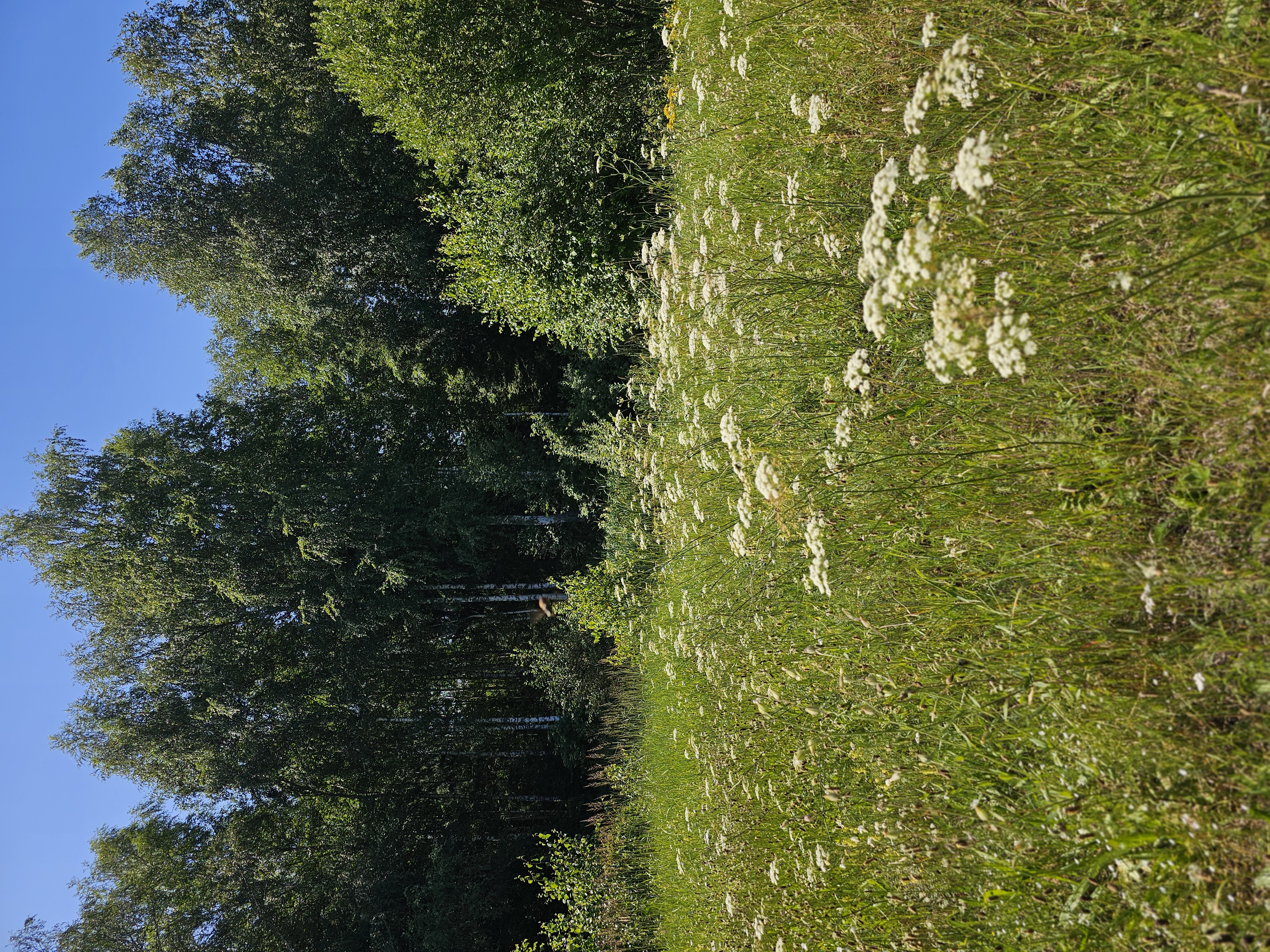 Экопространство Вамья